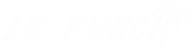 logo du bar le punch